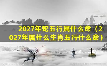 2027年蛇五行属什么命（2027年属什么生肖五行什么命）