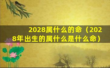 2028属什么的命（2028年出生的属什么是什么命）