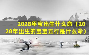 2028年宝出生什么命（2028年出生的宝宝五行是什么命）