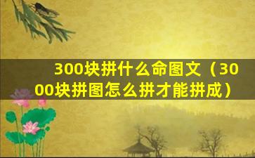 300块拼什么命图文（3000块拼图怎么拼才能拼成）