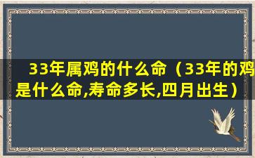 33年属鸡的什么命（33年的鸡是什么命,寿命多长,四月出生）