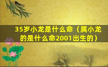 35岁小龙是什么命（属小龙的是什么命2001出生的）