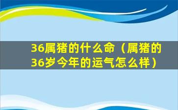 36属猪的什么命（属猪的36岁今年的运气怎么样）