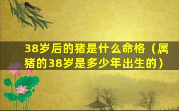 38岁后的猪是什么命格（属猪的38岁是多少年出生的）