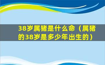 38岁属猪是什么命（属猪的38岁是多少年出生的）