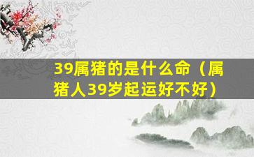 39属猪的是什么命（属猪人39岁起运好不好）