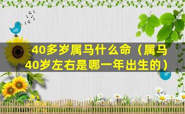 40多岁属马什么命（属马40岁左右是哪一年出生的）