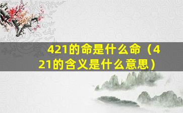 421的命是什么命（421的含义是什么意思）