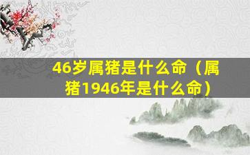 46岁属猪是什么命（属猪1946年是什么命）