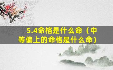 5.4命格是什么命（中等偏上的命格是什么命）