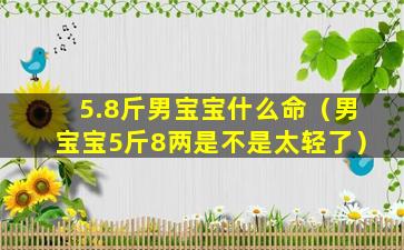 5.8斤男宝宝什么命（男宝宝5斤8两是不是太轻了）