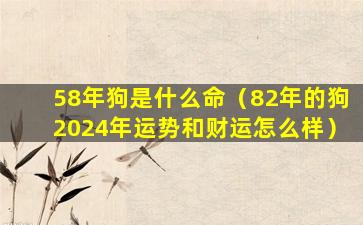 58年狗是什么命（82年的狗2024年运势和财运怎么样）