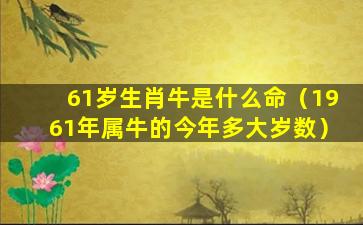 61岁生肖牛是什么命（1961年属牛的今年多大岁数）