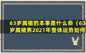 63岁属猪的本事是什么命（63岁属猪男2021年整体运势如何）