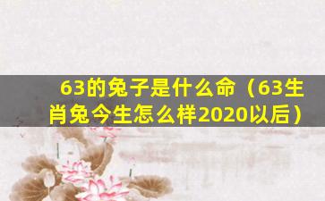 63的兔子是什么命（63生肖兔今生怎么样2020以后）