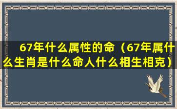 67年什么属性的命（67年属什么生肖是什么命人什么相生相克）