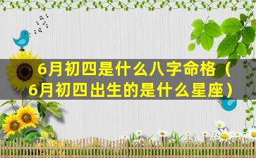 6月初四是什么八字命格（6月初四出生的是什么星座）