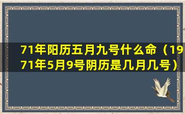 71年阳历五月九号什么命（1971年5月9号阴历是几月几号）