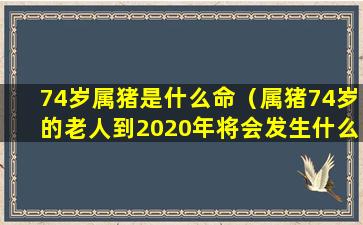 74岁属猪是什么命（属猪74岁的老人到2020年将会发生什么）