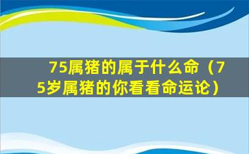 75属猪的属于什么命（75岁属猪的你看看命运论）