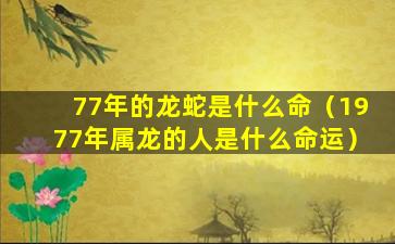 77年的龙蛇是什么命（1977年属龙的人是什么命运）