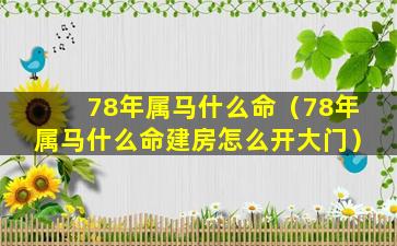 78年属马什么命（78年属马什么命建房怎么开大门）