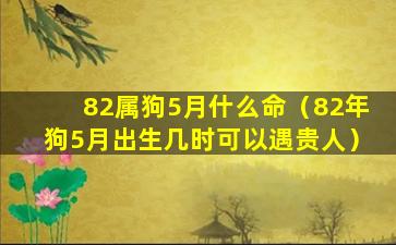 82属狗5月什么命（82年狗5月出生几时可以遇贵人）