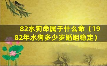 82水狗命属于什么命（1982年水狗多少岁婚姻稳定）