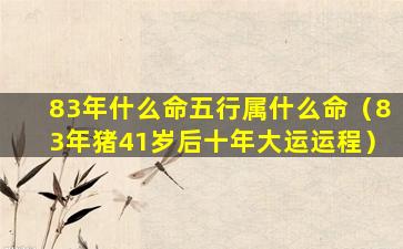 83年什么命五行属什么命（83年猪41岁后十年大运运程）