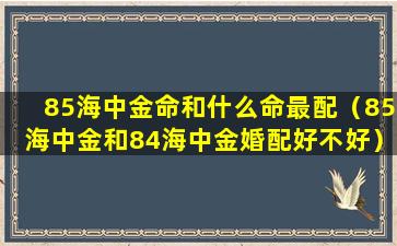 85海中金命和什么命最配（85海中金和84海中金婚配好不好）