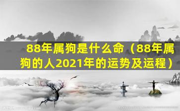 88年属狗是什么命（88年属狗的人2021年的运势及运程）