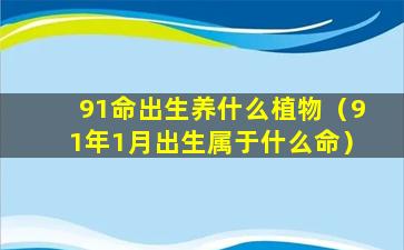 91命出生养什么植物（91年1月出生属于什么命）