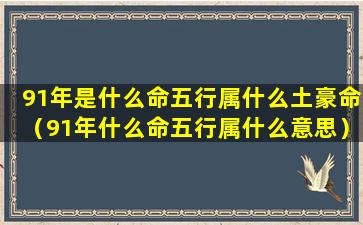 91年是什么命五行属什么土豪命（91年什么命五行属什么意思）