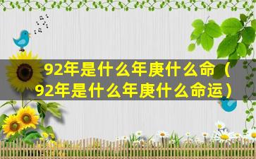 92年是什么年庚什么命（92年是什么年庚什么命运）