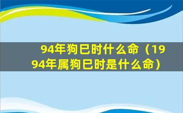 94年狗巳时什么命（1994年属狗巳时是什么命）