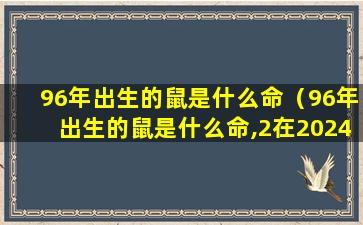 96年出生的鼠是什么命（96年出生的鼠是什么命,2在2024年能出嫁吗）