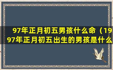 97年正月初五男孩什么命（1997年正月初五出生的男孩是什么命）