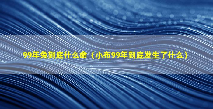 99年兔到底什么命（小布99年到底发生了什么）