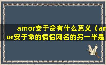 amor安于命有什么意义（amor安于命的情侣网名的另一半是撒）