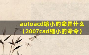 autoacd缩小的命是什么（2007cad缩小的命令）