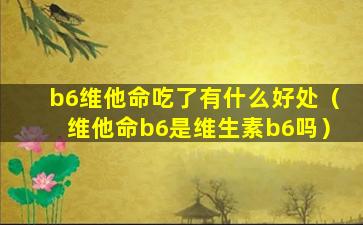 b6维他命吃了有什么好处（维他命b6是维生素b6吗）