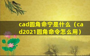 cad圆角命宁是什么（cad2021圆角命令怎么用）