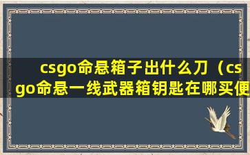 csgo命悬箱子出什么刀（csgo命悬一线武器箱钥匙在哪买便宜）