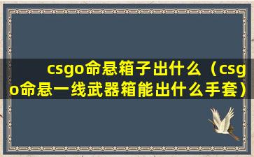 csgo命悬箱子出什么（csgo命悬一线武器箱能出什么手套）