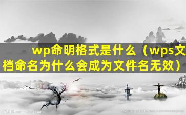 wp命明格式是什么（wps文档命名为什么会成为文件名无效）