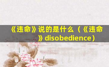 《违命》说的是什么（《违命》disobedience）