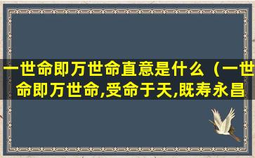 一世命即万世命直意是什么（一世命即万世命,受命于天,既寿永昌）