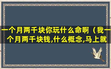 一个月两千块你玩什么命啊（我一个月两千块钱,什么概念,马上就是土豪了）