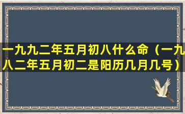 一九九二年五月初八什么命（一九八二年五月初二是阳历几月几号）