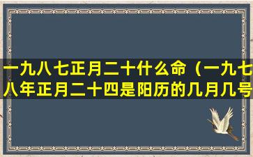 一九八七正月二十什么命（一九七八年正月二十四是阳历的几月几号）